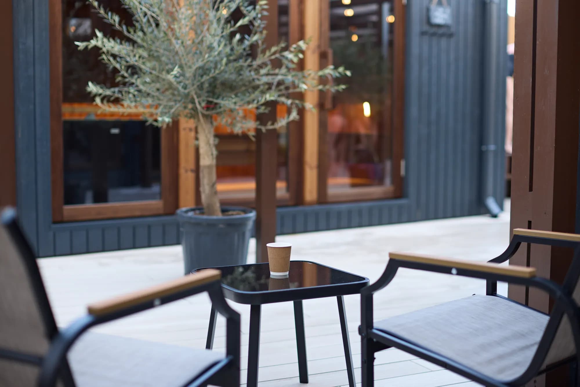 Relaxation lounge with olive tree and sauna windows